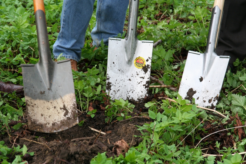 pepiniere-EVENOS-min_work-lawn-flower-tool-green-backyard-1103633-pxhere.com